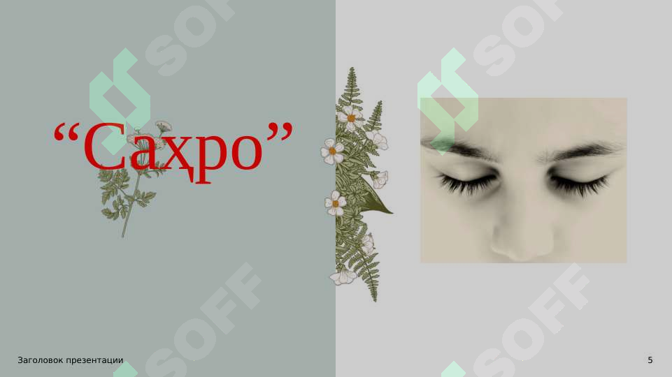 sellerImage