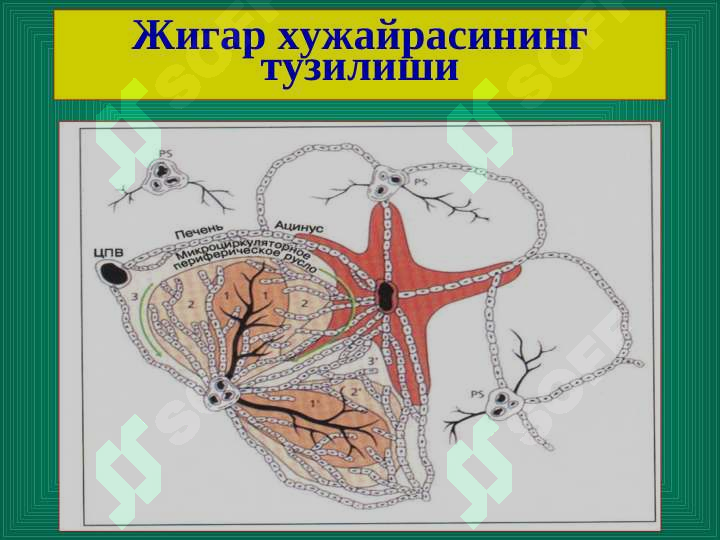 sellerImage