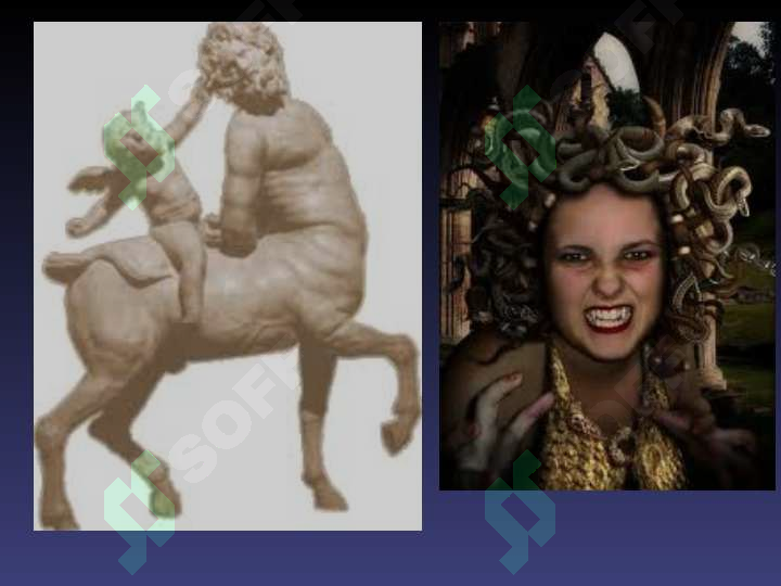 sellerImage