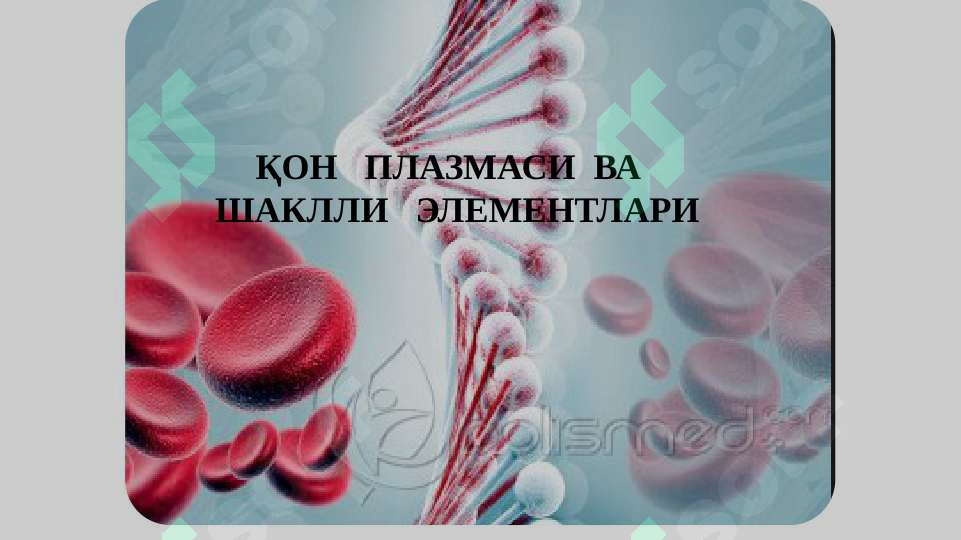 sellerImage