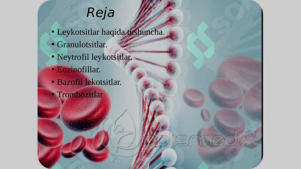 sellerImage