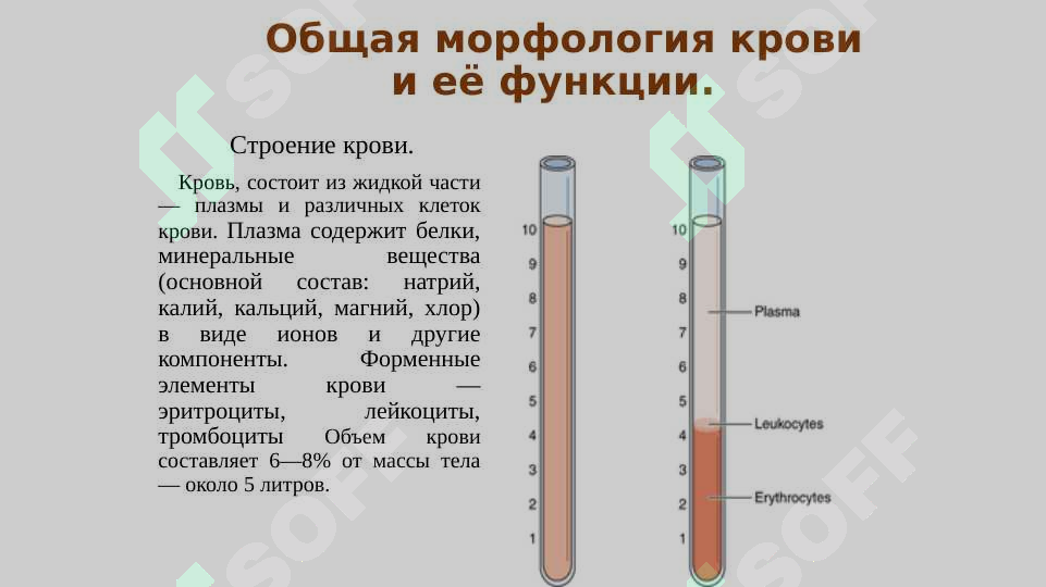 sellerImage