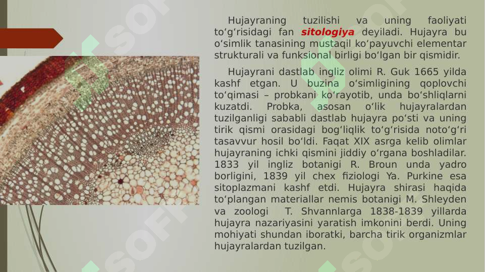 sellerImage
