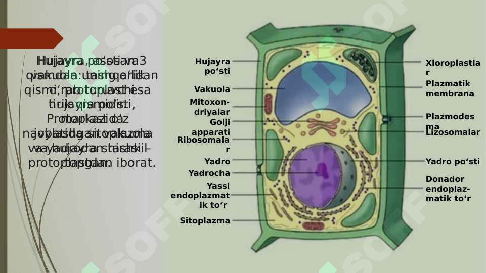 sellerImage
