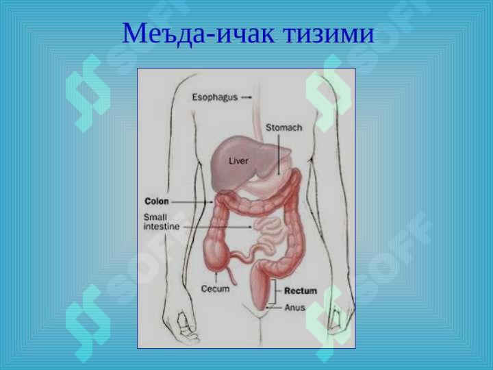 sellerImage