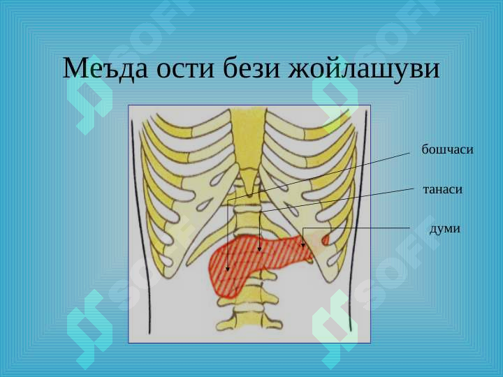 sellerImage