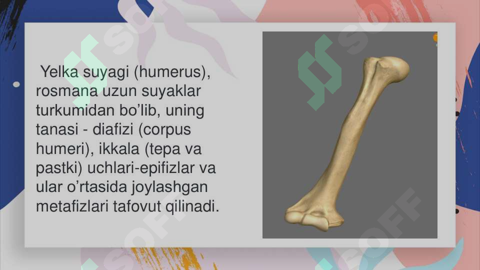 sellerImage