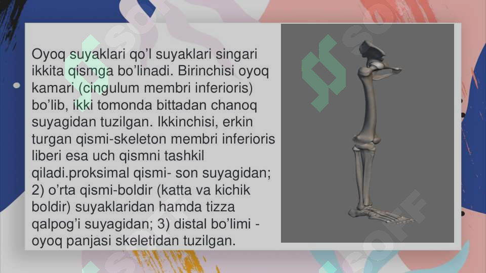 sellerImage