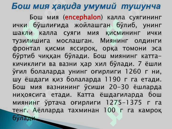 sellerImage