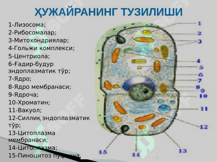 sellerImage