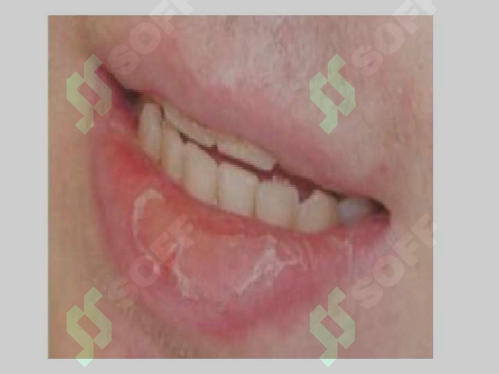 sellerImage