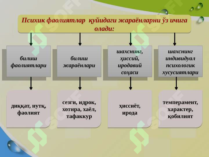 sellerImage