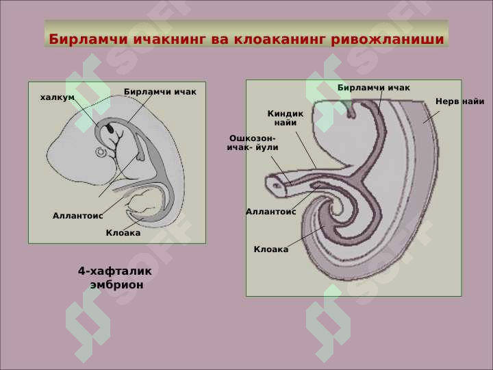 sellerImage