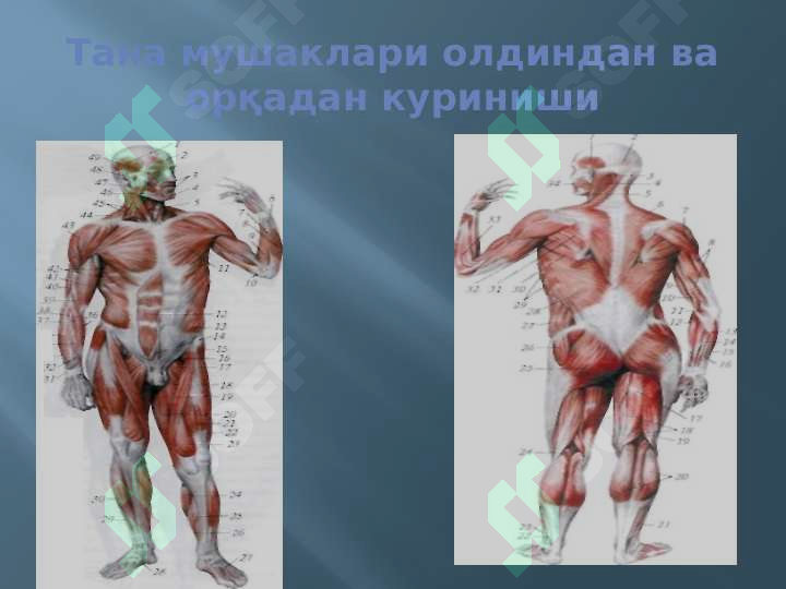 sellerImage
