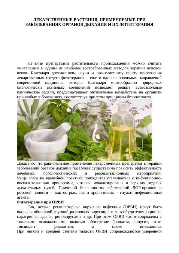ЛЕКАРСТВЕННЫЕ РАСТЕНИЯ, ПРИМЕНЯЕМЫЕ ПРИ ЗАБОЛЕВАНИЯХ ОРГАНОВ ДЫХАНИЯ И ИХ ФИТОТЕРАПИЯ
