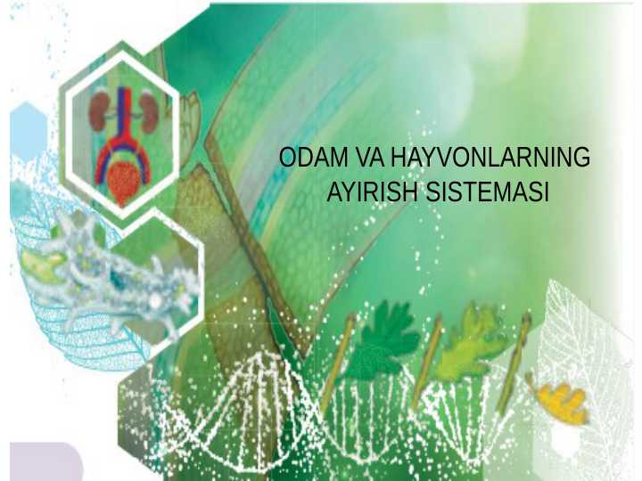 ODAM VA HAYVONLARNING  AYIRISH SISTEMASI
