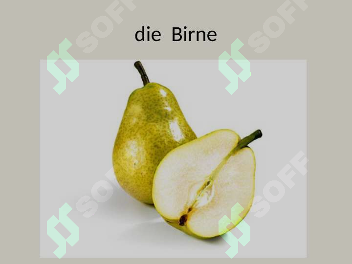 sellerImage