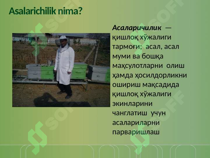 sellerImage