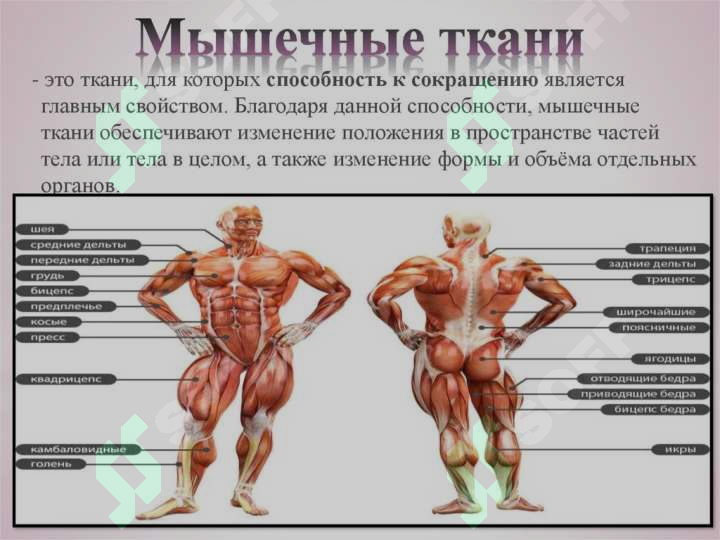 sellerImage