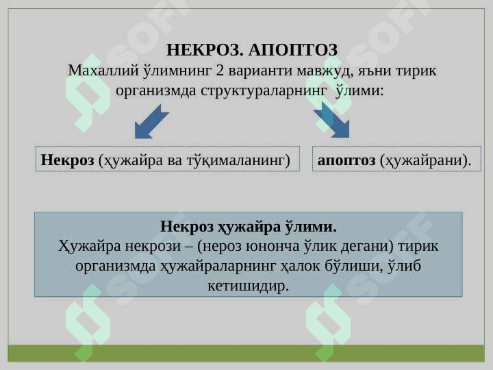 sellerImage
