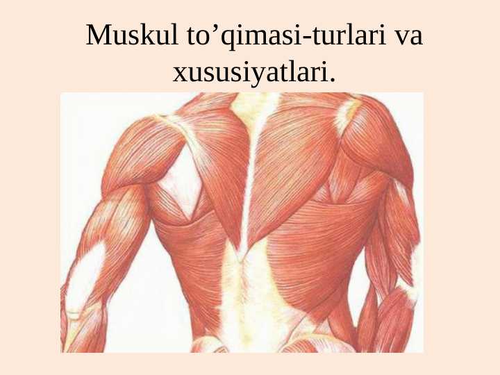 Muskul to’qimasi turlari va xususiyatlari.