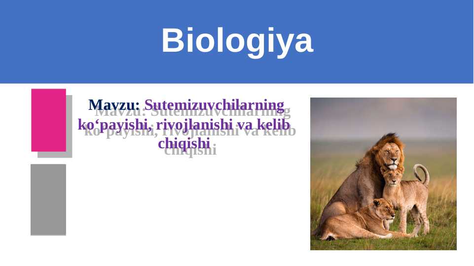 Sutemizuvchilarning ko‘payishi, rivojlanishi va kelib chiqishi