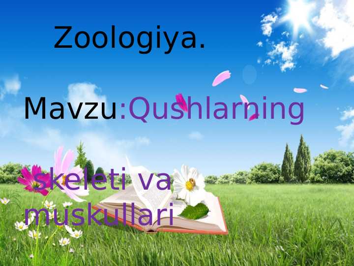 Qushlarning skeleti va muskullari
