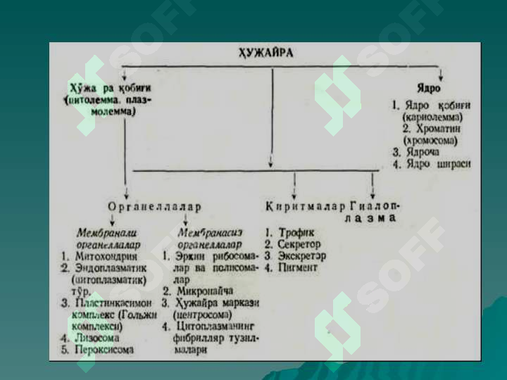 sellerImage