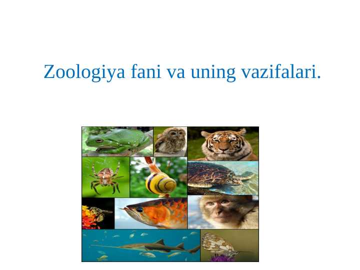 Zoologiya fani va uning vazifalari
