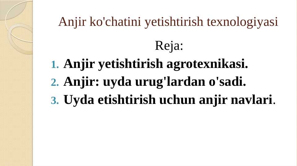 Anjir ko'chatini yetishtirish texnologiyasI