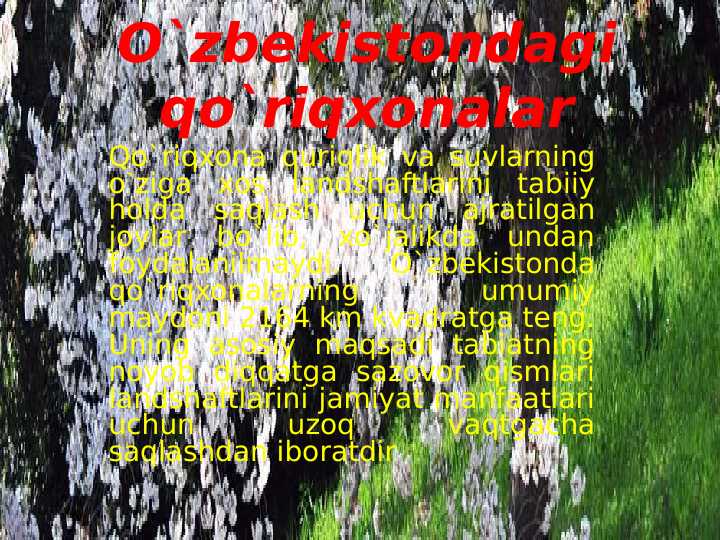 O`zbekistondagi qo`riqxonalar