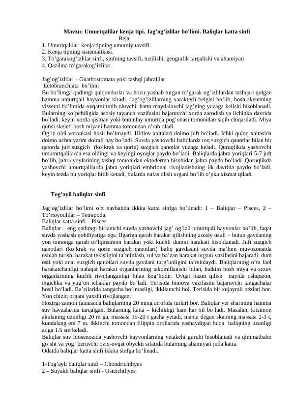 Umurtqalilar kenja tipi. Jag’og’izlilar bo’limi. Baliqlar katta sinfi