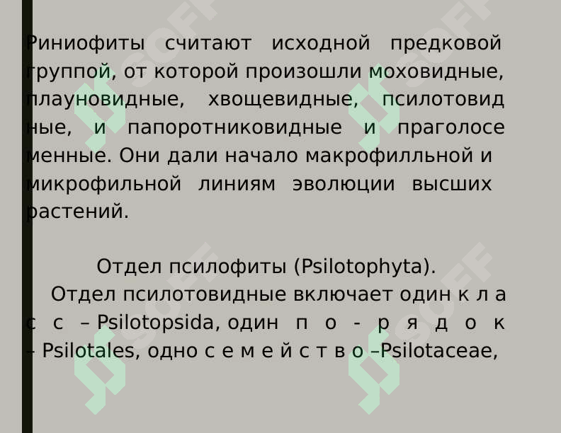 sellerImage