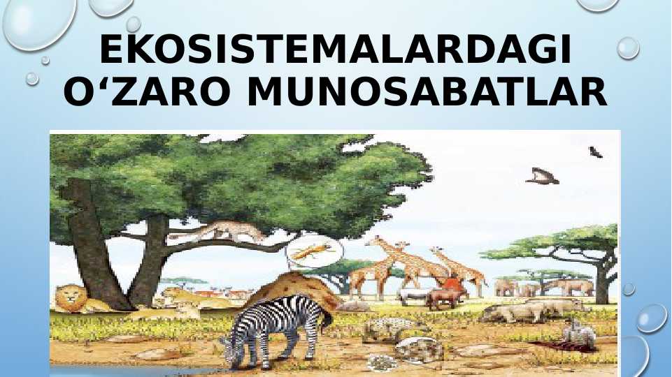 6-sinf. Sciens. EKOSISTEMALARDAGI O`ZARO MUNOSABATLARI