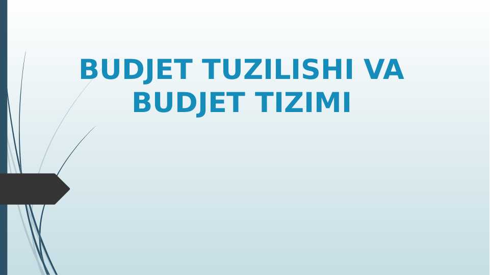 BUDJET TUZILISHI VA BUDJET TIZIMI