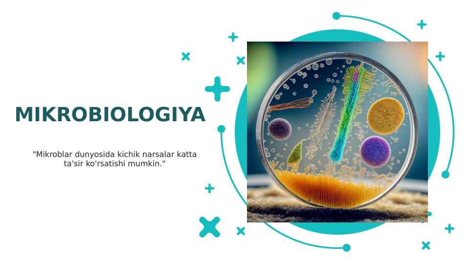 MIKROBIOLOGIYA