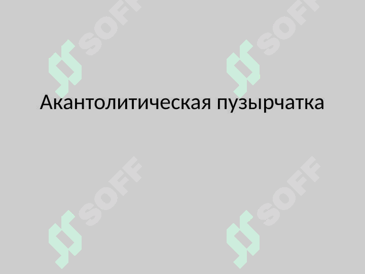 sellerImage