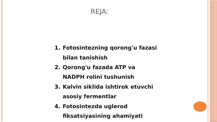 Fotosintez qorongulik bosqichi