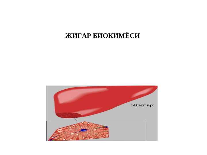 ЖИГАР БИОКИМЁСИ