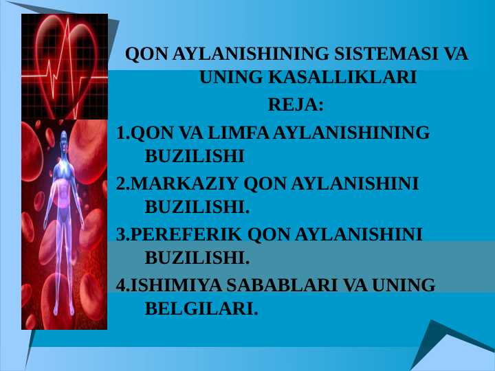 QON AYLANISHINING SISTEMASI VA UNING KASALLIKLARI
