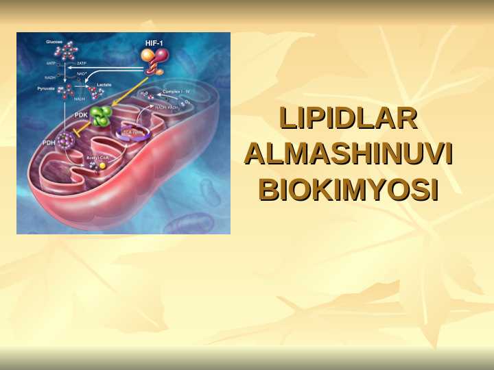 LIPIDLAR ALMASHINUVI BIOKIMYOSI