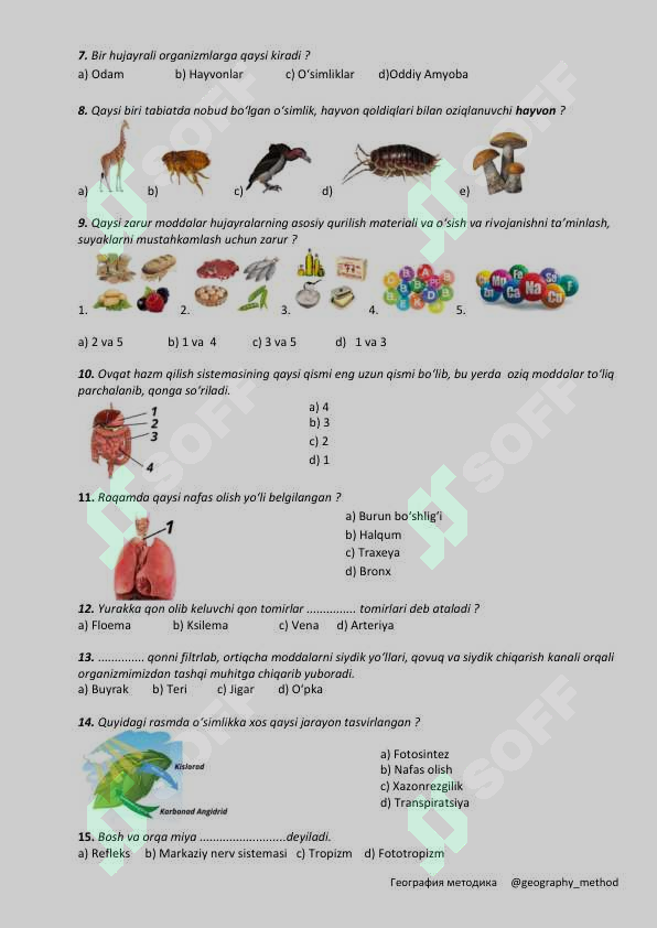 sellerImage