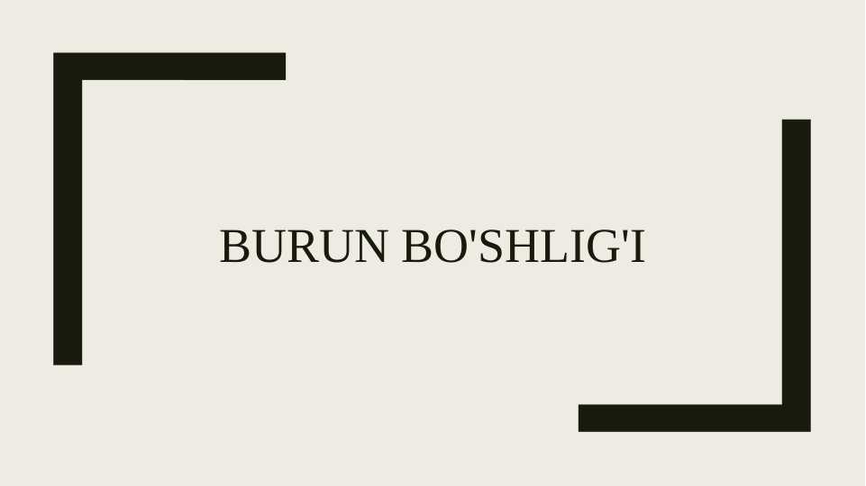 Burun bo'shlig'i