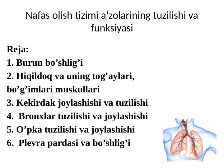 Nafas olish tizimi a’zolarining tuzilishi va funksiyasi
