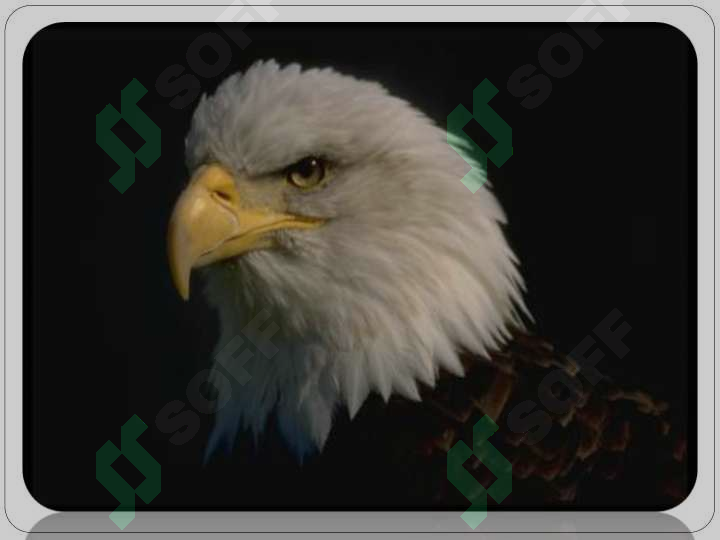 sellerImage