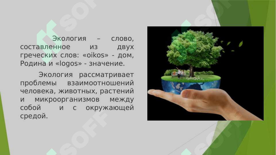 sellerImage