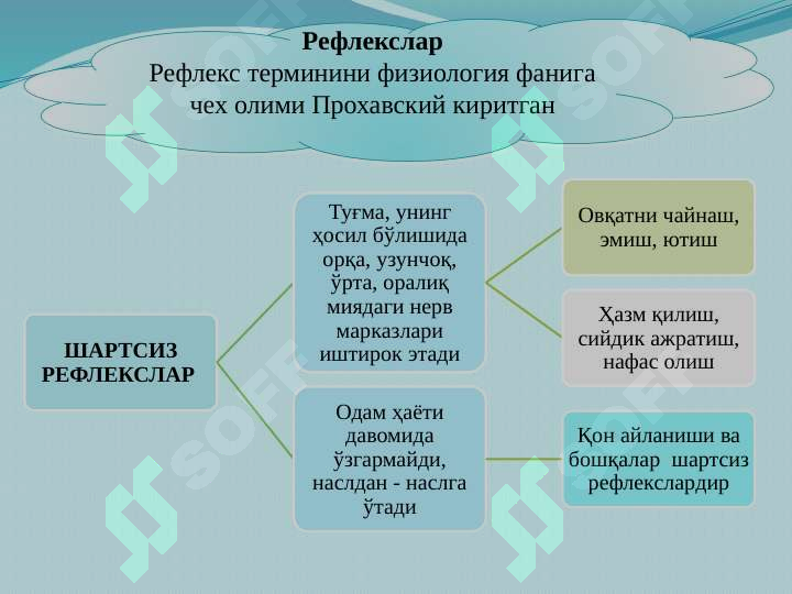 sellerImage