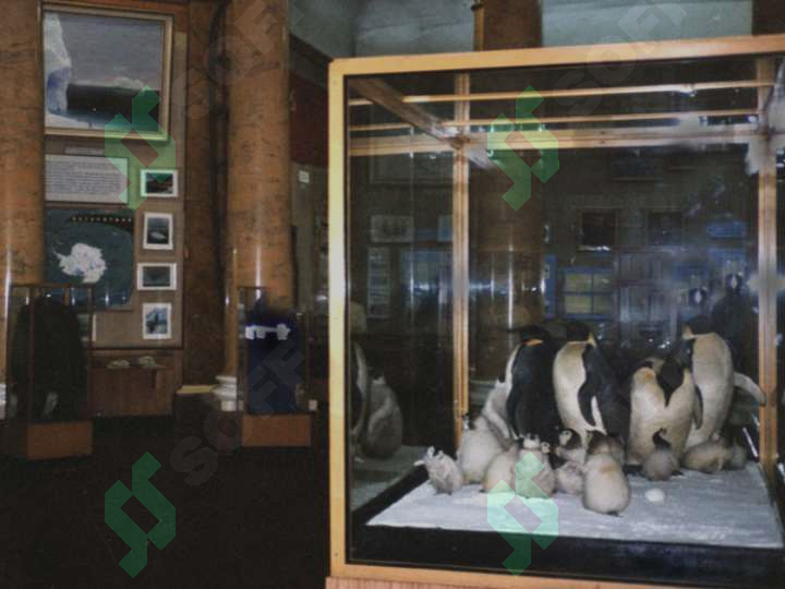 sellerImage