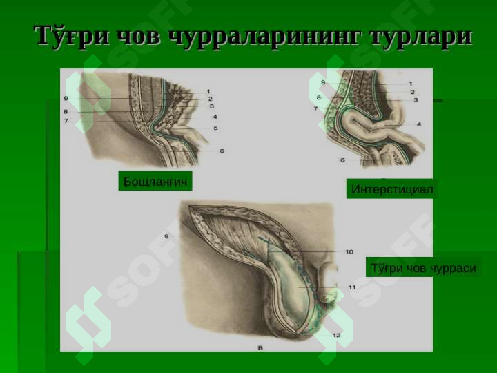 sellerImage