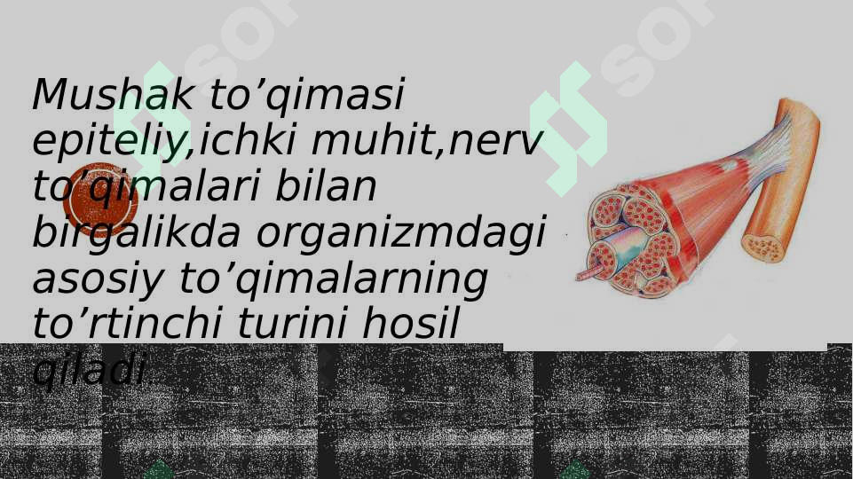 sellerImage